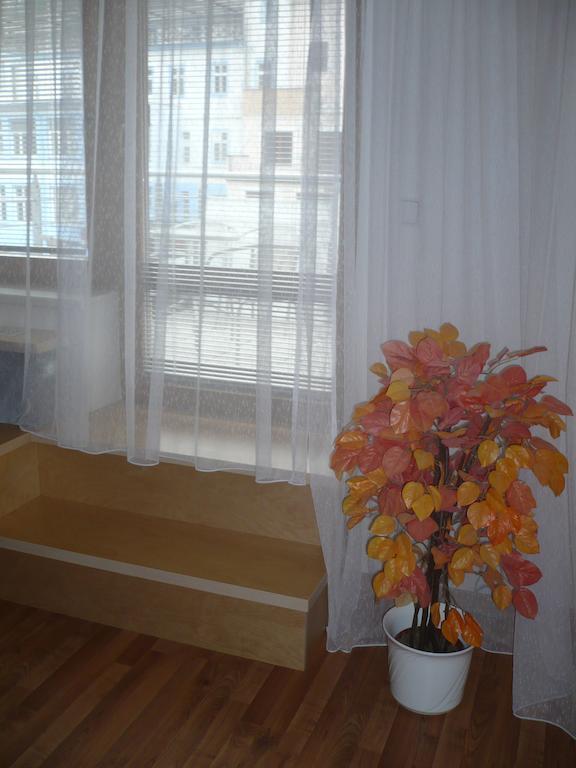Anezka Apartment Luhacovice