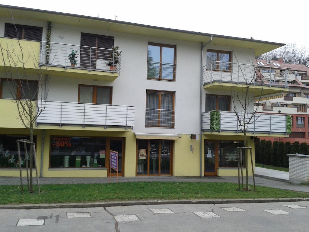 Apartment Anezka Luhacovice